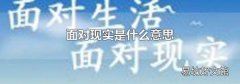 面对现实是什么意思