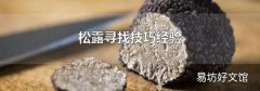 松露寻找技巧经验